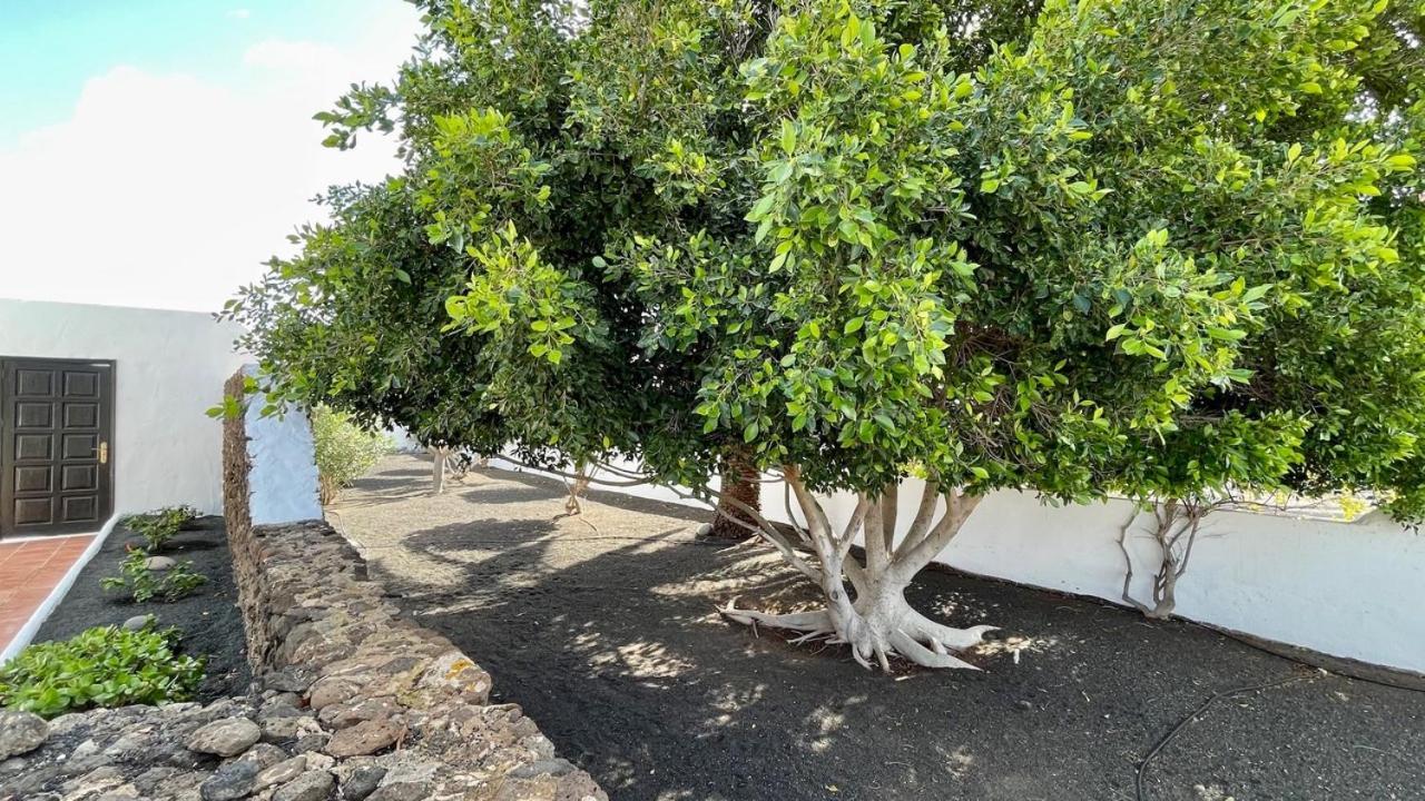 Villa Estefania ปลายาบลังกา ภายนอก รูปภาพ